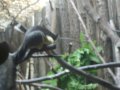 IMGP0866.JPG